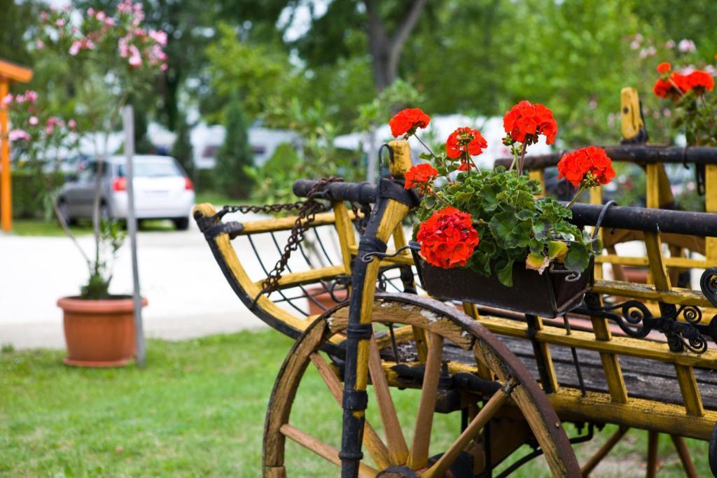 Hotel Balaton Eldorado Camping Badacsonytördemic Exteriér fotografie